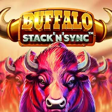 Buffalo Stack'n'Sync slot image