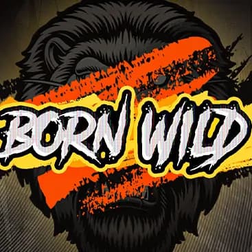 Born Wild slot image